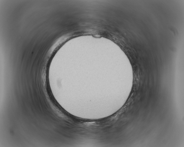 X0000112210054200909181602