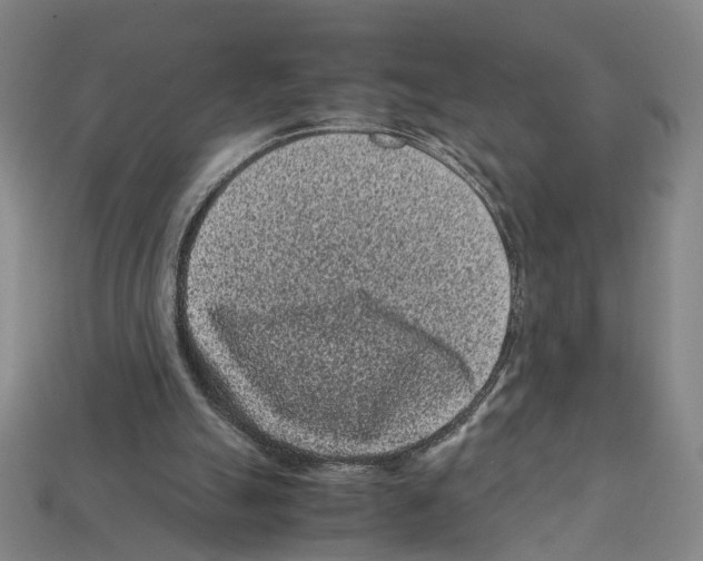 X0000112210055200909181602