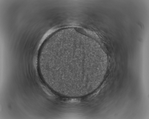 X0000112210056200909181602