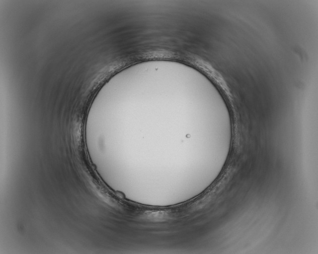 X0000112210057200909181602