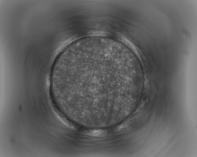 X0000112210059200909181602