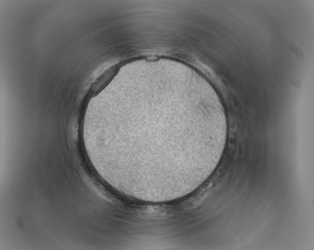 X0000112210060200909181602