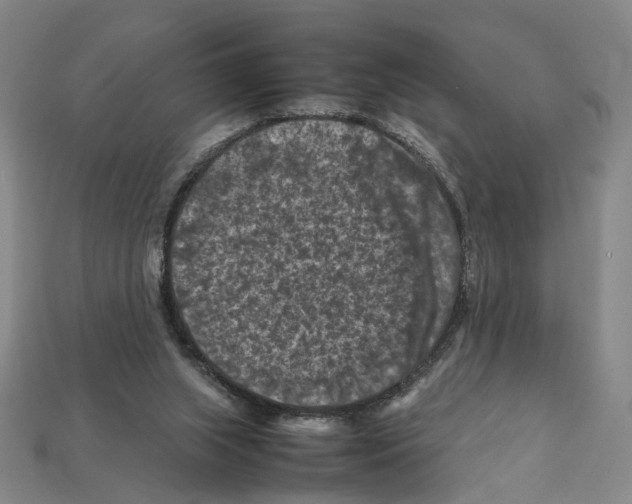 X0000112210063200909181602
