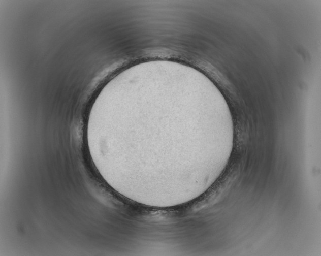 X0000112210064200909181602