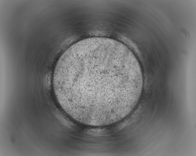 X0000112210065200909181602