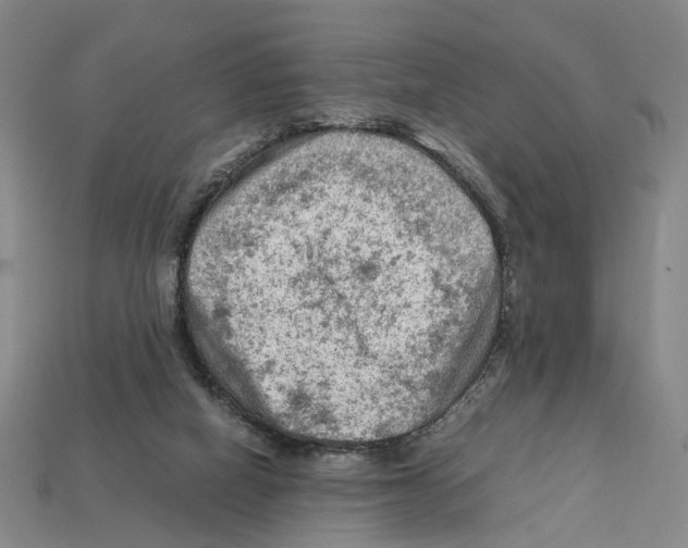 X0000112210066200909181602