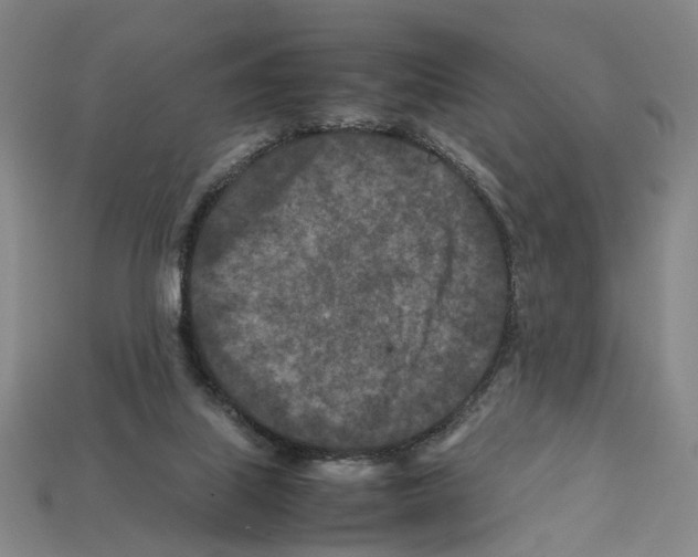 X0000112210067200909181602