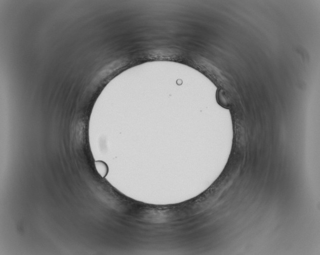 X0000112210071200909181602