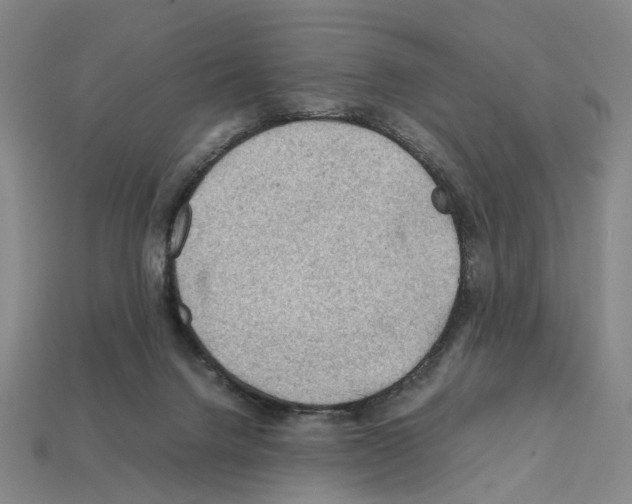 X0000112210072200909181602