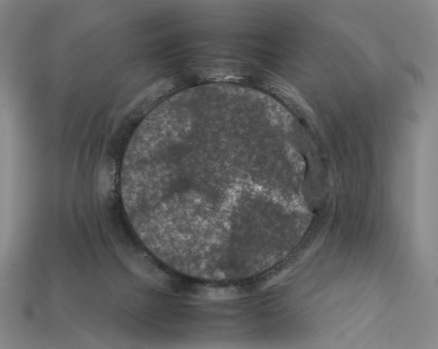 X0000112210073200909181602