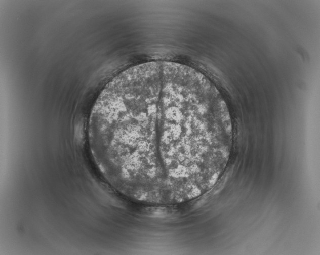 X0000112210074200909181602