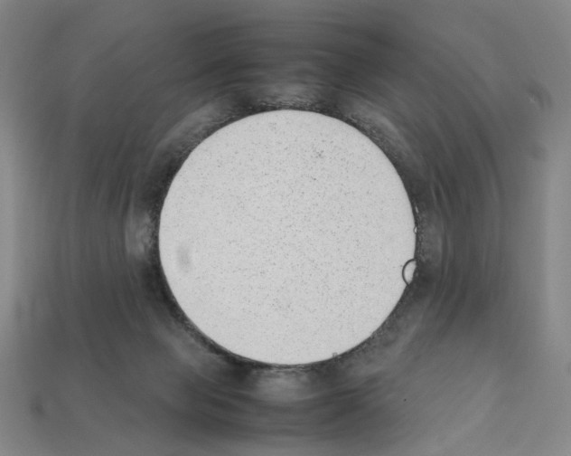 X0000112210077200909181602