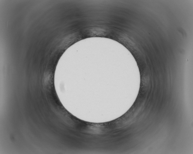 X0000112210079200909181602