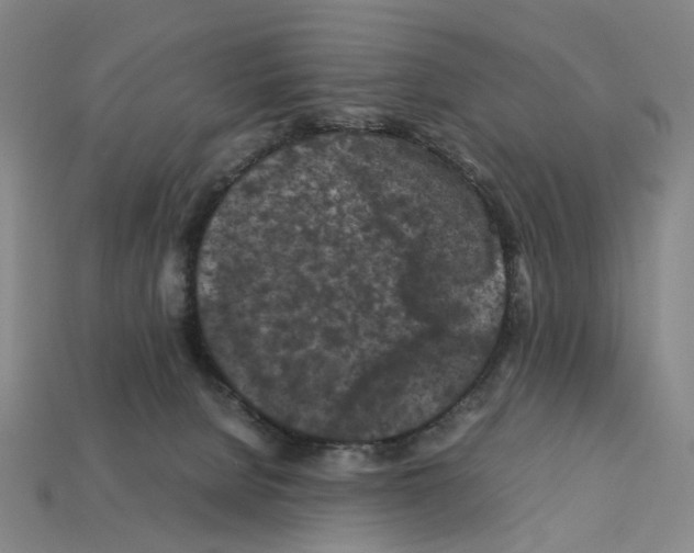 X0000112210080200909181602