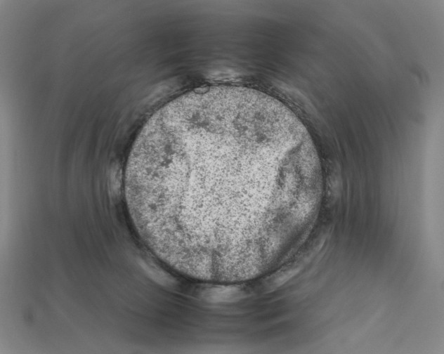 X0000112210081200909181602