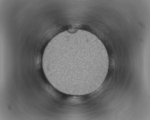 X0000112210082200909181602