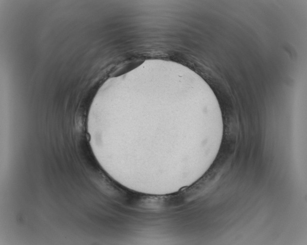 X0000112210084200909181603