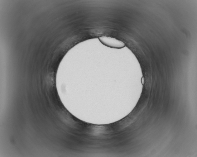 X0000112210085200909181603