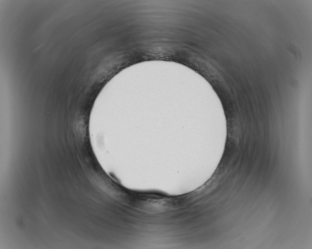 X0000112210086200909181603