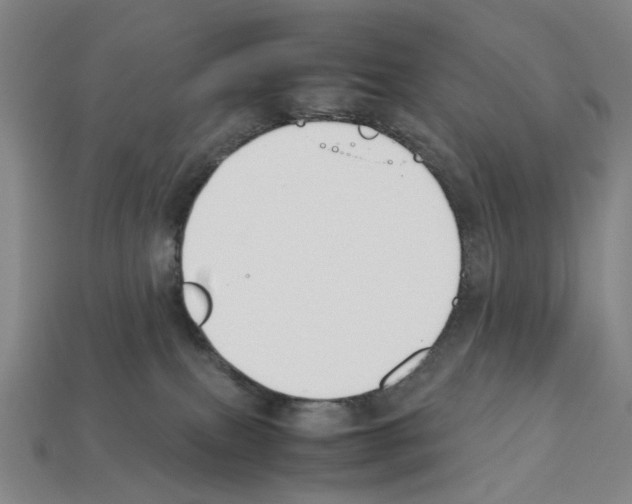 X0000112210087200909181603