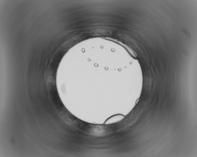X0000112210091200909181603