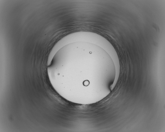 X0000112210092200909181603