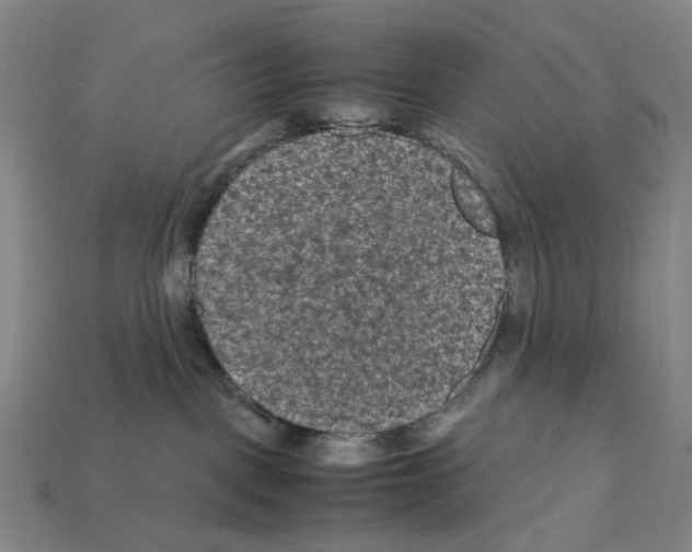 X0000112210093200909181603