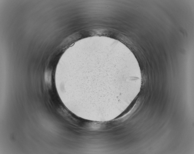 X0000112210094200909181603