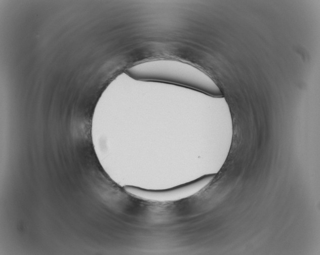 X0000112210096200909181603