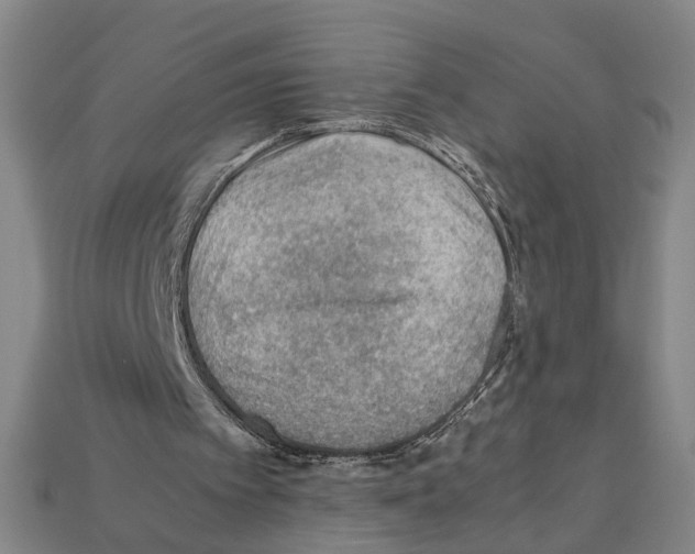 X0000112210097200909181602