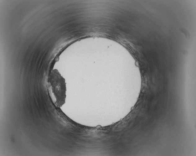 X0000112210098200909181602