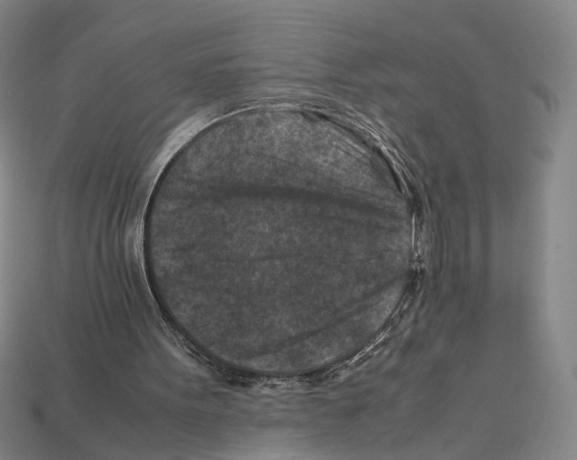 X0000112210099200909181602