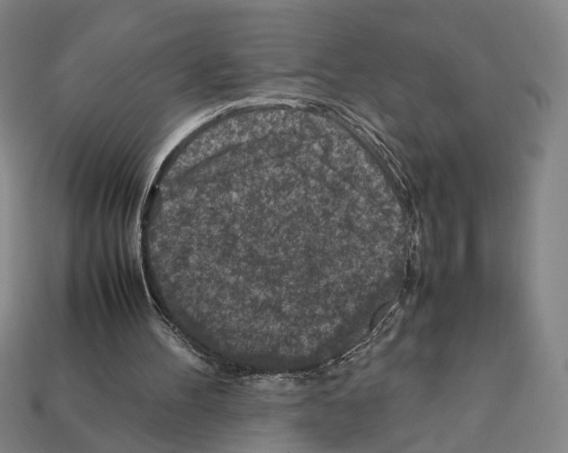 X0000112210100200909181602
