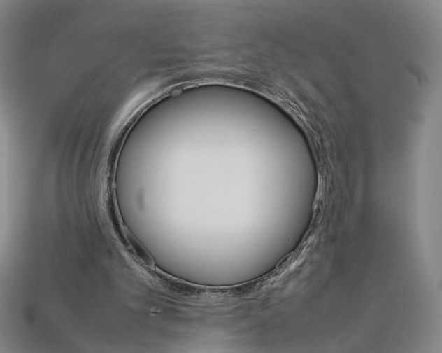 X0000112210101200909181602