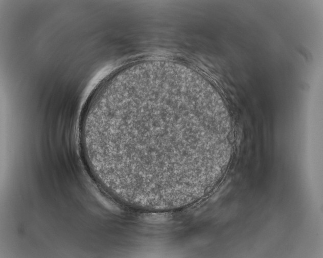 X0000112210102200909181602