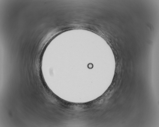 X0000112210103200909181602