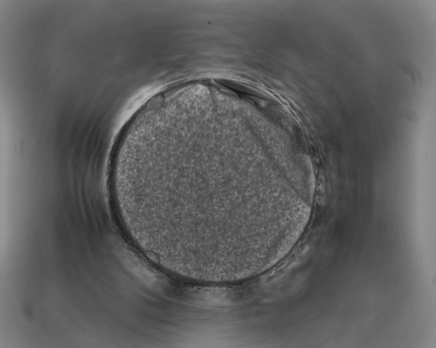 X0000112210104200909181602
