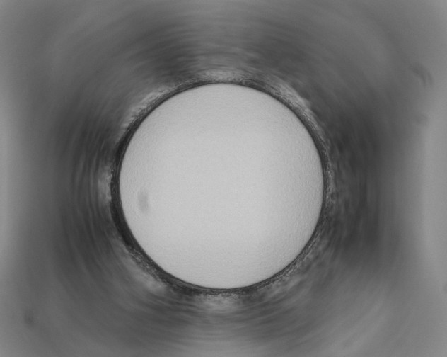 X0000112210106200909181602
