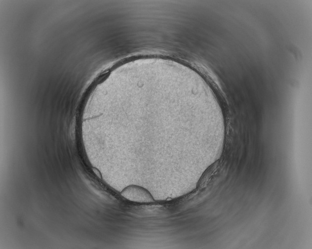 X0000112210108200909181602