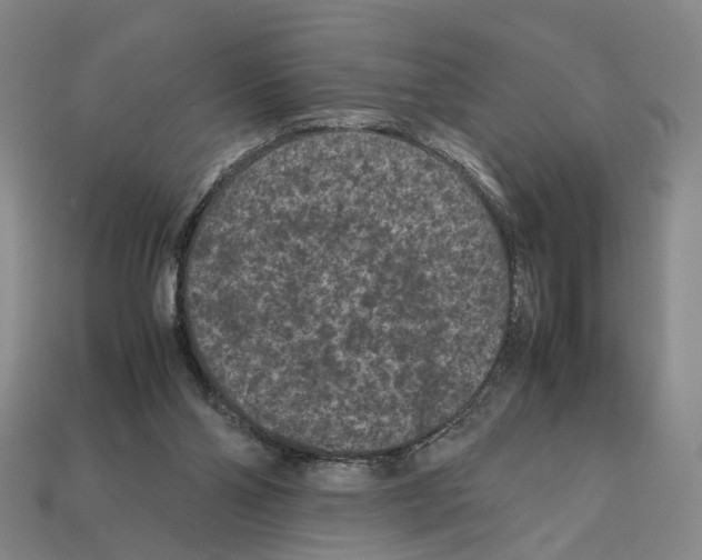 X0000112210110200909181602
