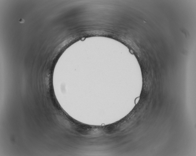 X0000112210111200909181602