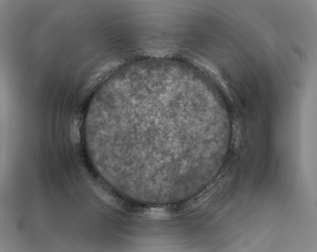 X0000112210114200909181602