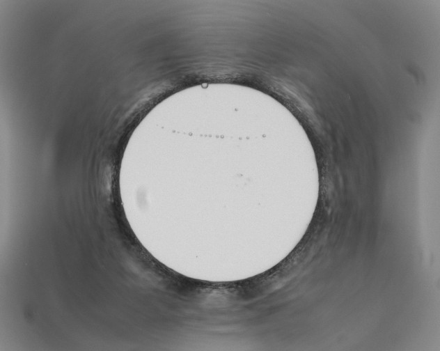 X0000112210115200909181602