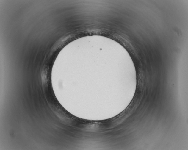 X0000112210116200909181602