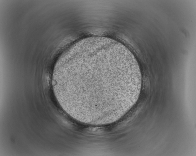 X0000112210117200909181602