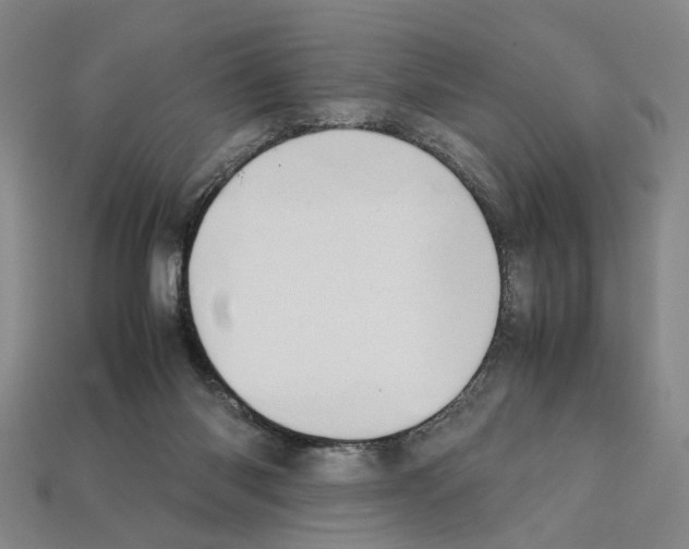 X0000112210118200909181602