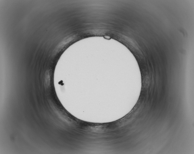 X0000112210120200909181602