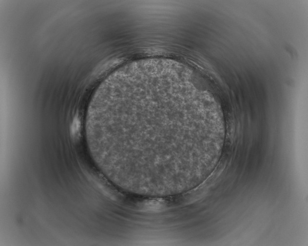 X0000112210124200909181602