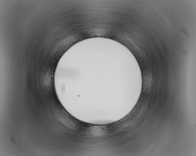 X0000112210126200909181602