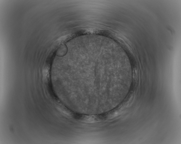 X0000112210127200909181602